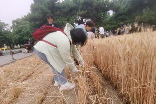 记者：博尼法斯受伤后，勒沃库森高层正在关注转会市场